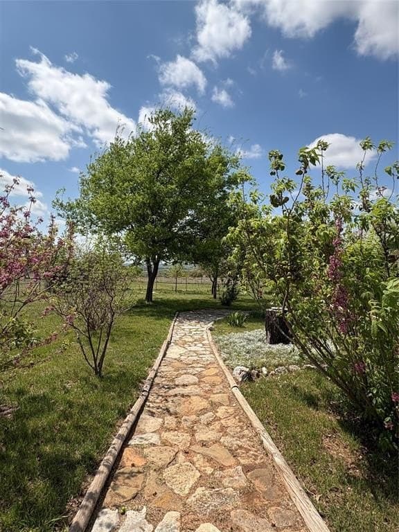 240 acres in Mills County gallery image 4