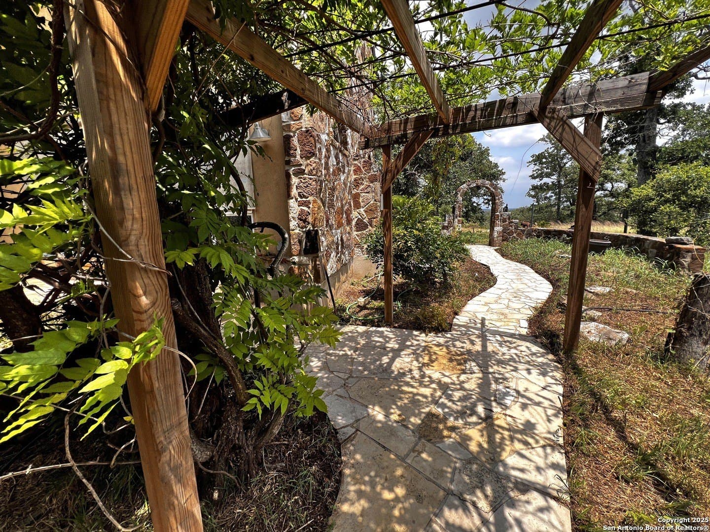 20 acres in Guadalupe County gallery image 4