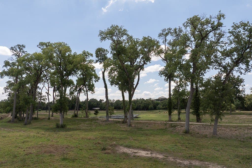 100 acres in Bexar County - photo 39