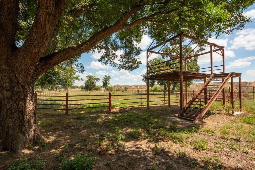 100 acres in Bexar County - photo 25