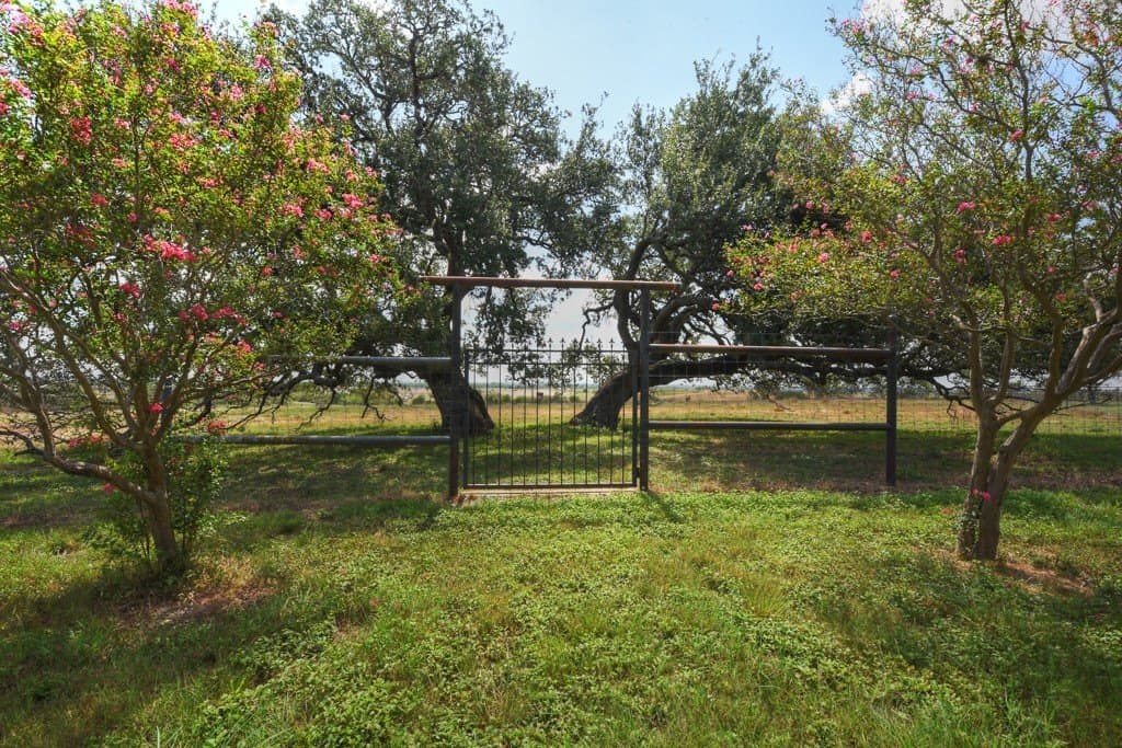 100 acres in Bexar County - photo 21
