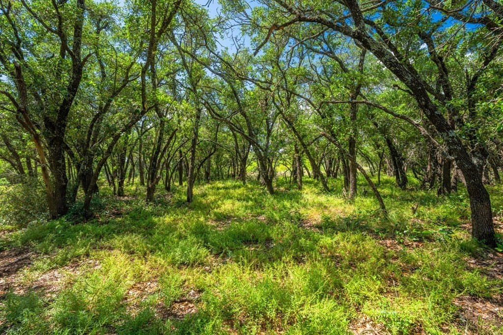 655 acres in Menard County - photo 11