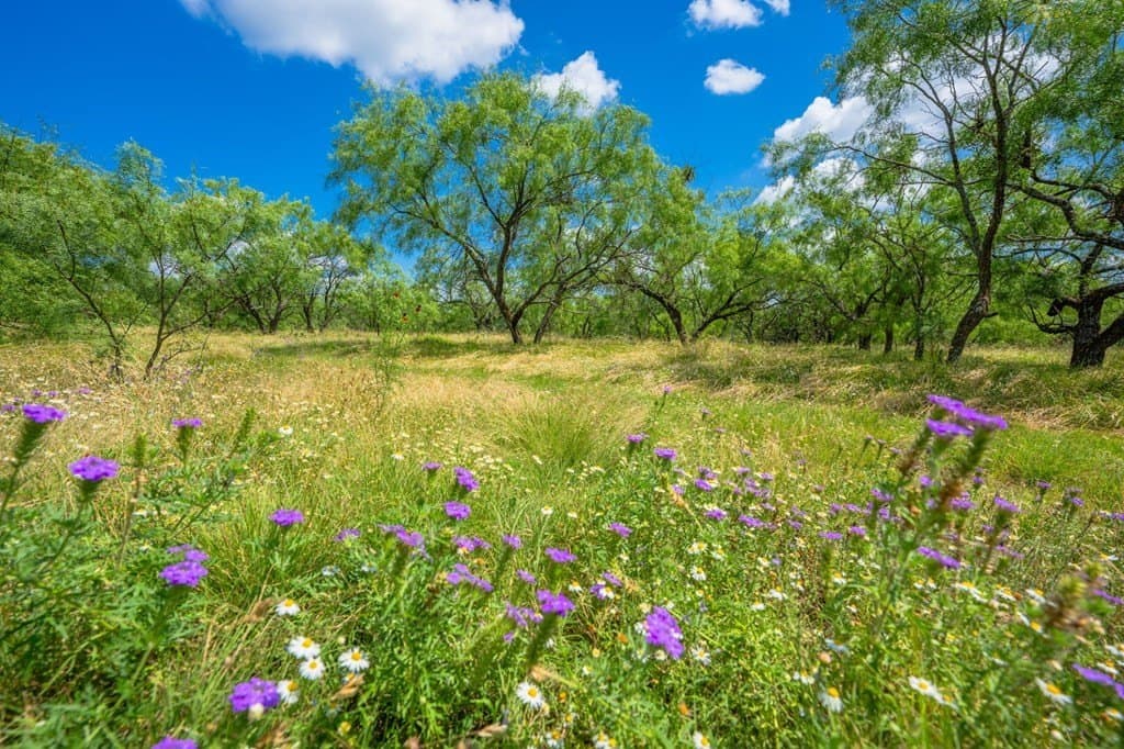 655 acres in Menard County - photo 10