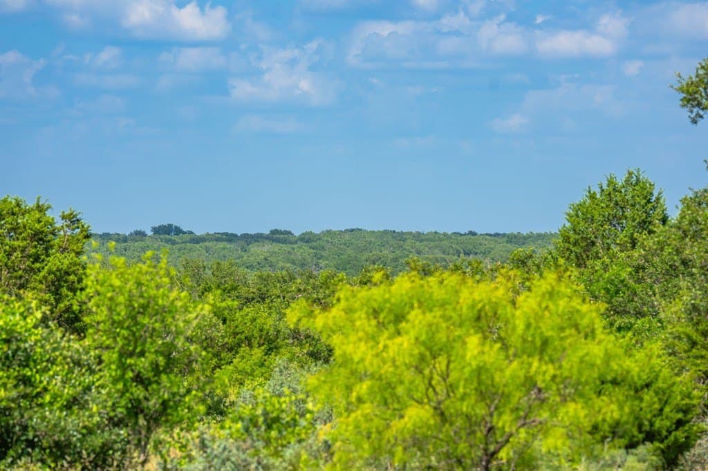 655 acres in Menard County - photo 15