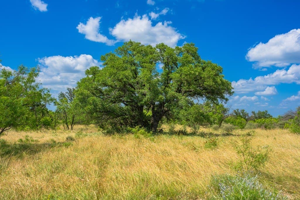 655 acres in Menard County - photo 12