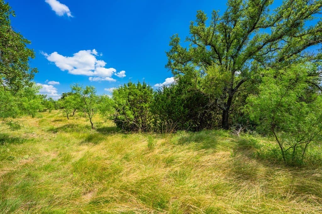 655 acres in Menard County - photo 8