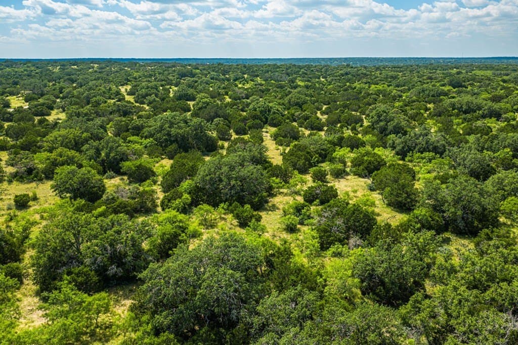 655 acres in Menard County - photo 6