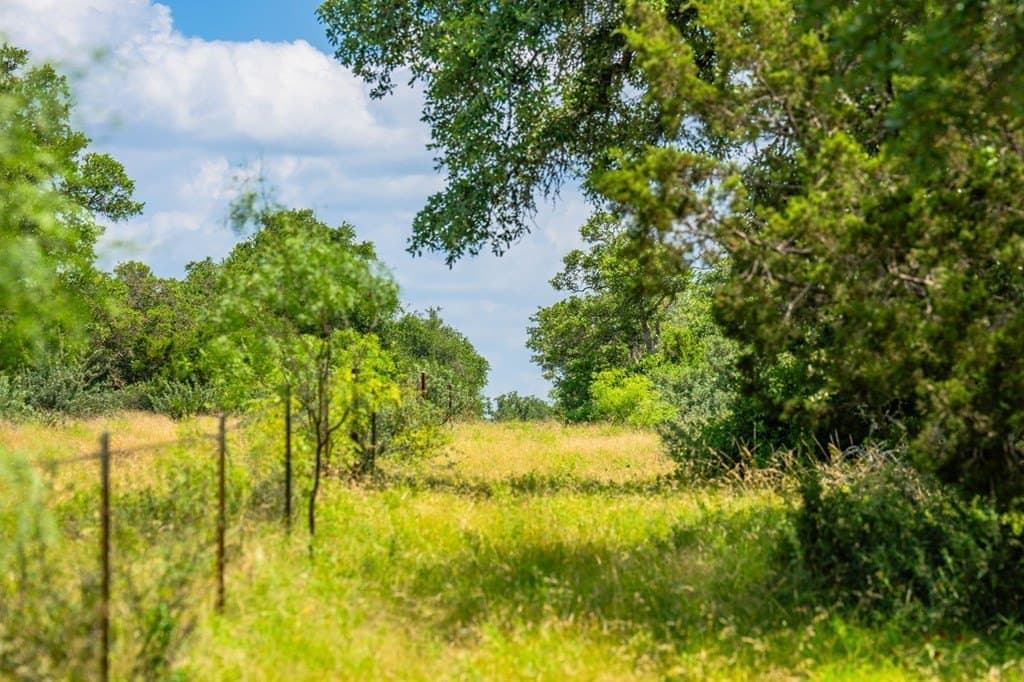 655 acres in Menard County - photo 9