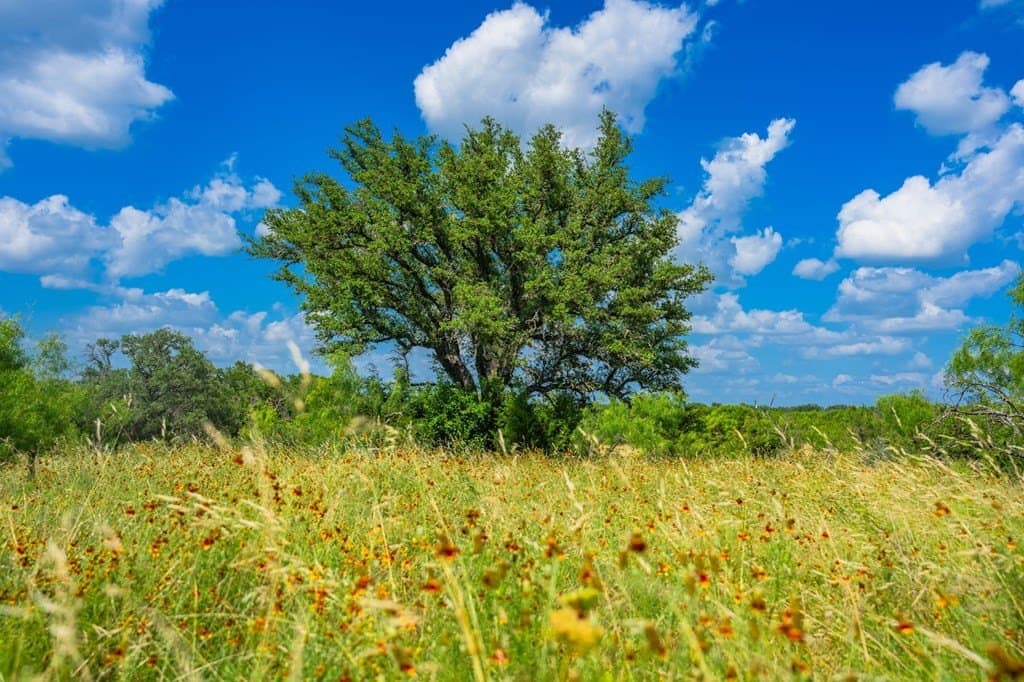 655 acres in Menard County - photo 16