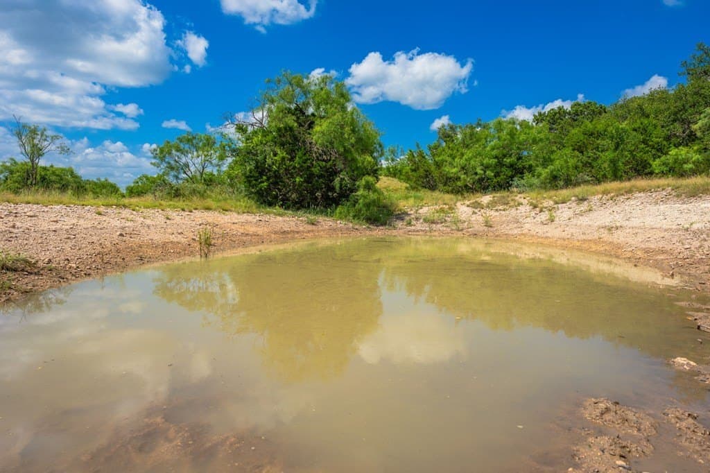 655 acres in Menard County - photo 14