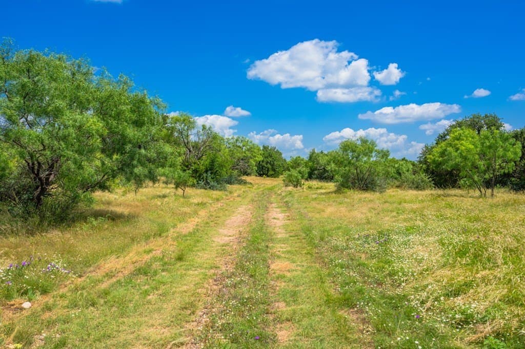 655 acres in Menard County - photo 7