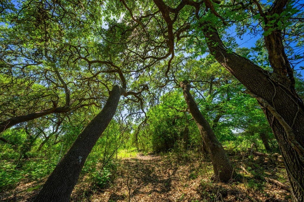 26.84 acres in Kendall County - photo 32