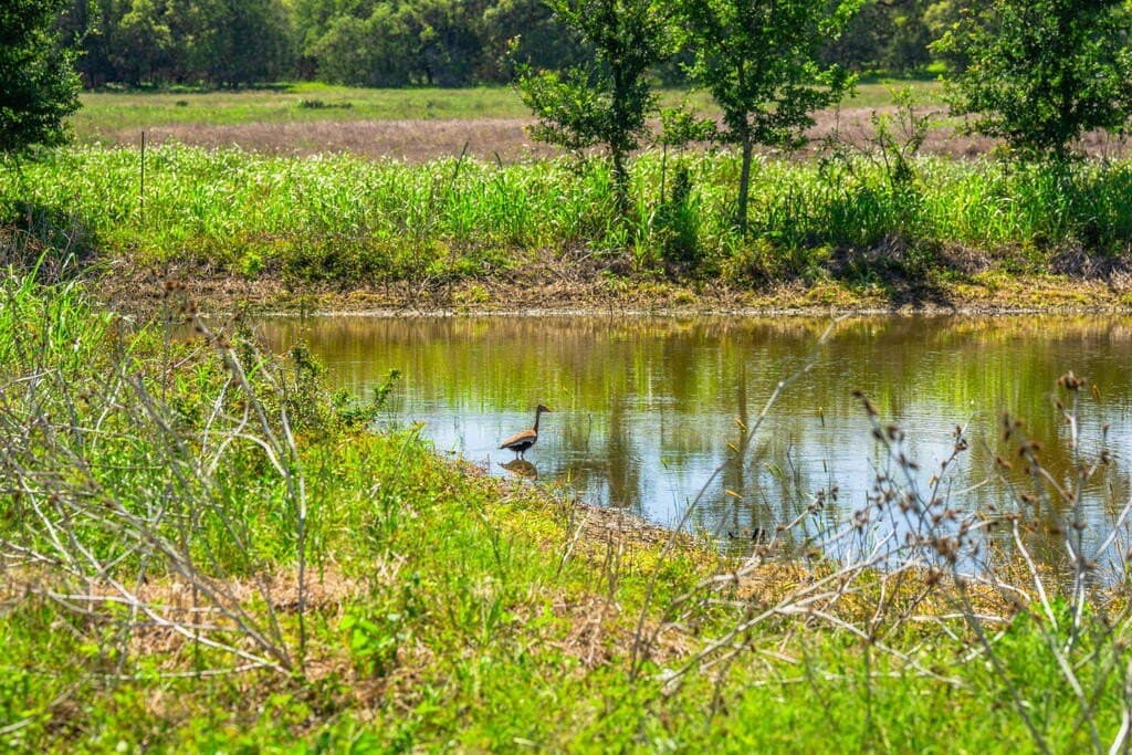 26.84 acres in Kendall County - photo 29