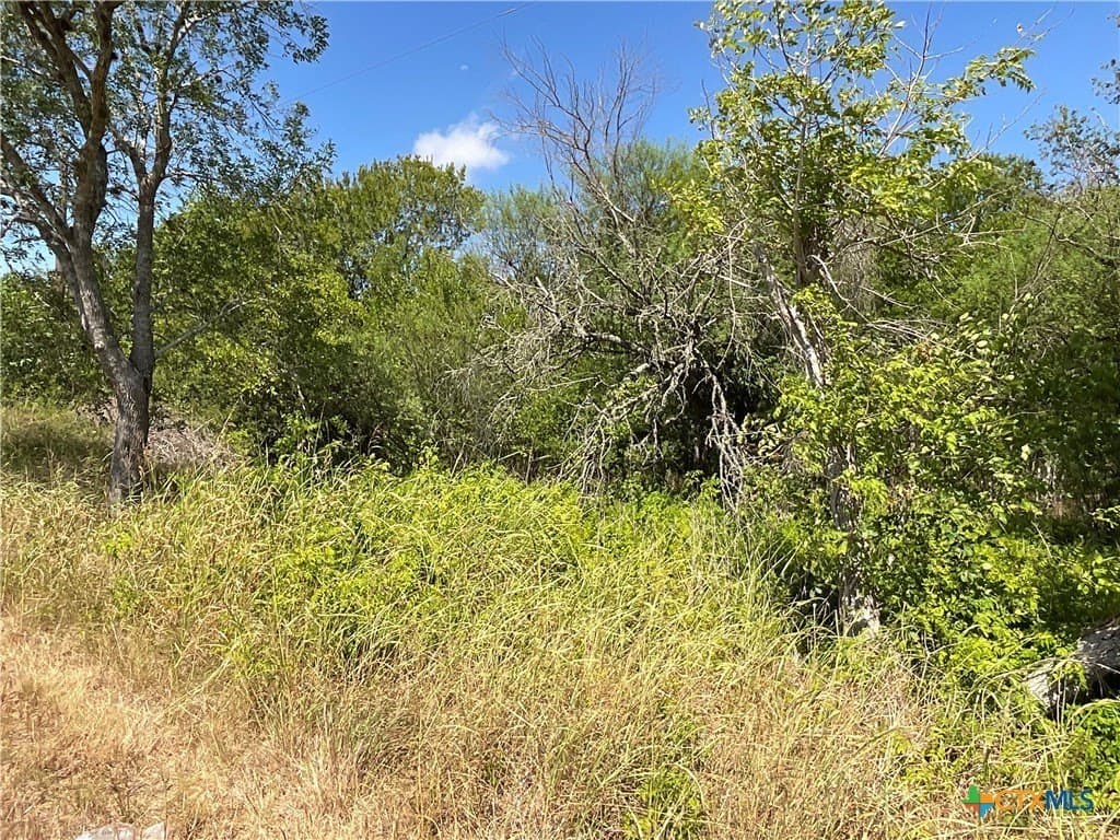 1.9 acres in DeWitt County gallery image 4