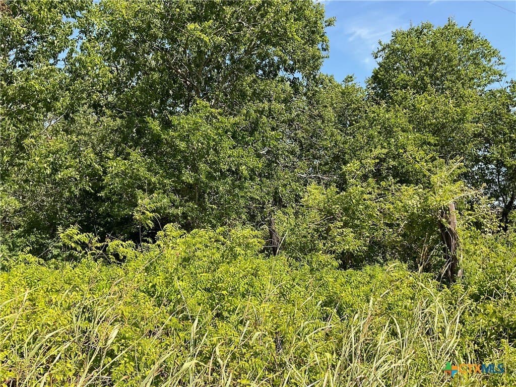 1.9 acres in DeWitt County featured view