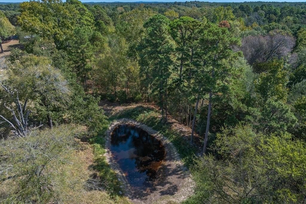 10 acres in Upshur County gallery image 4