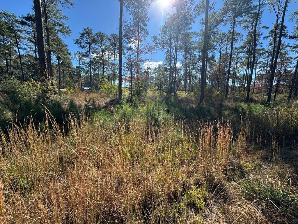 1.14 acres in Texas County - photo 11