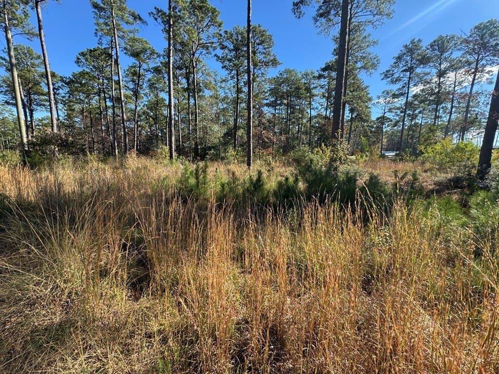 1.14 acres in Texas County - photo 10