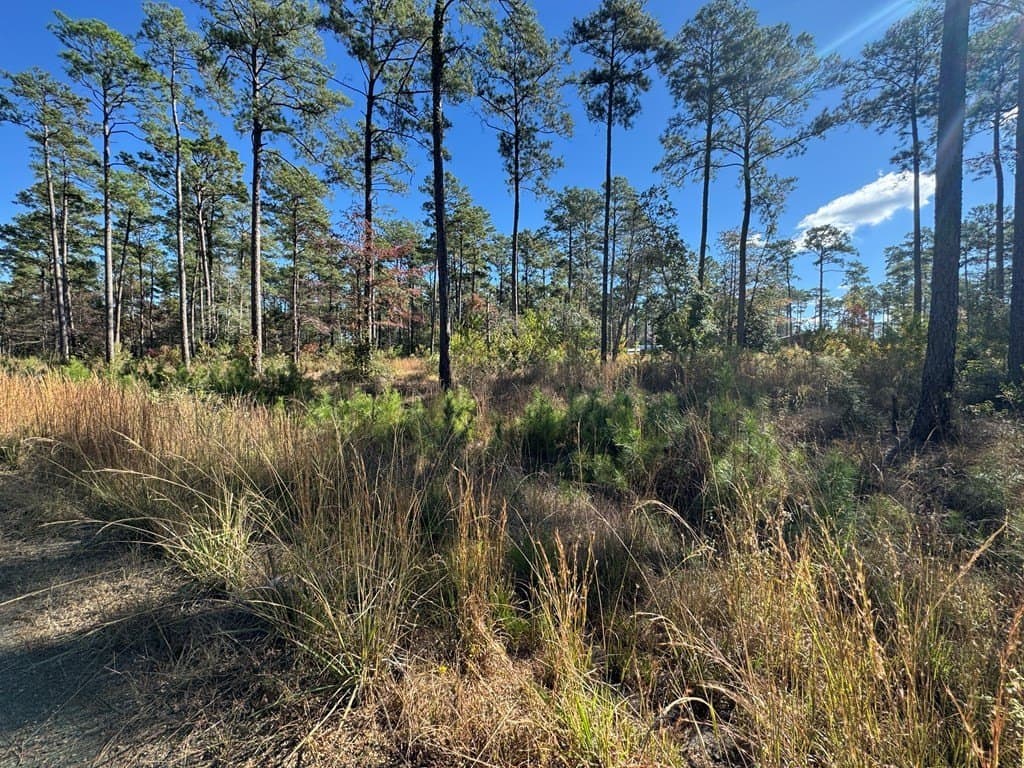 1.14 acres in Texas County - photo 8