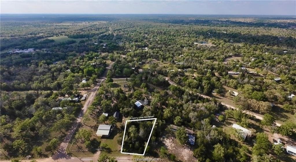 0.64 acres in Burleson County gallery image 2