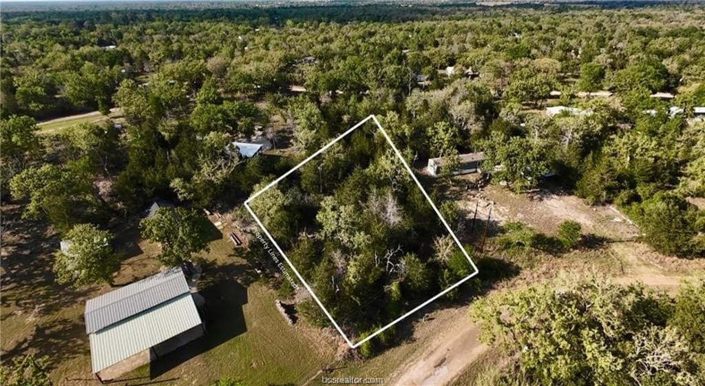 0.64 acres in Burleson County gallery image 4