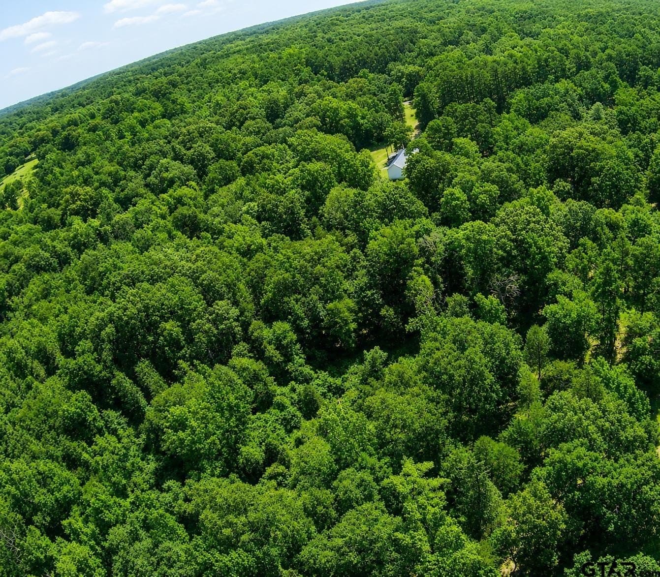 35 acres in Wood County - photo 12