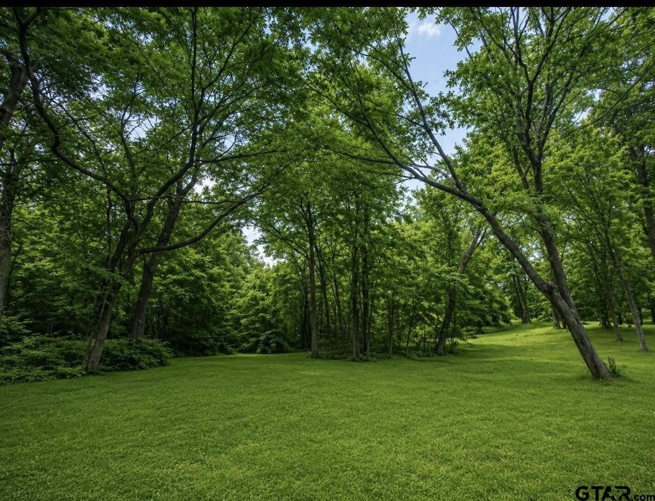 35 acres in Wood County - photo 3