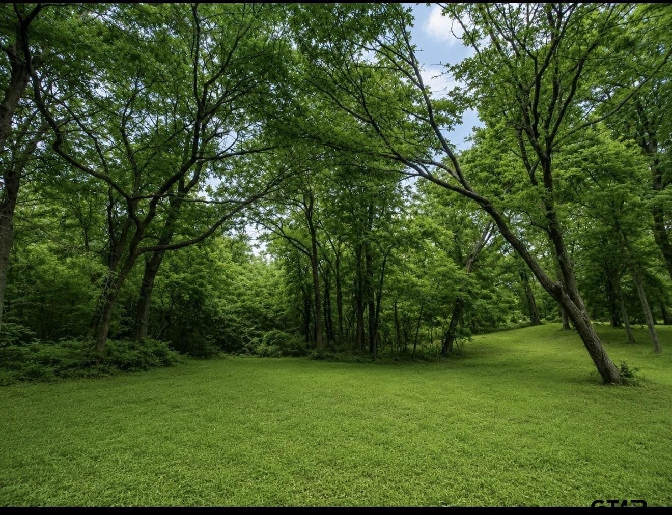 35 acres in Wood County - photo 2