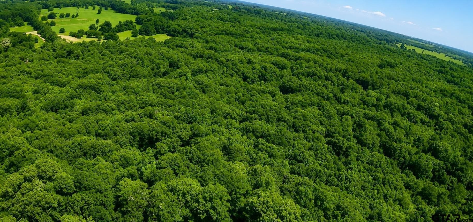 35 acres in Wood County - photo 14