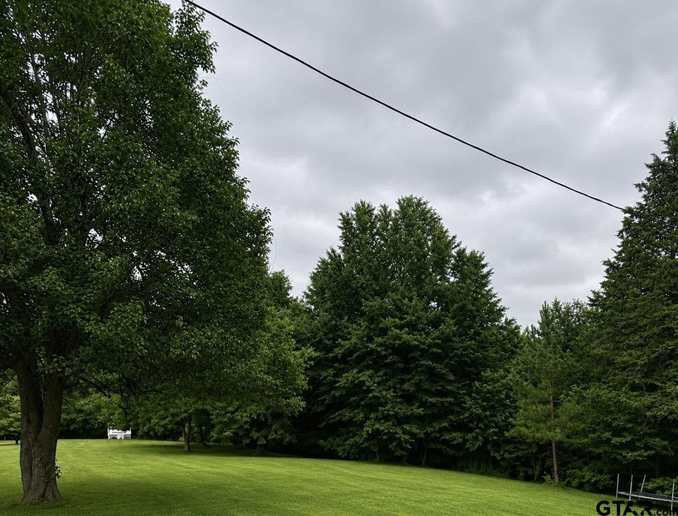 35 acres in Wood County