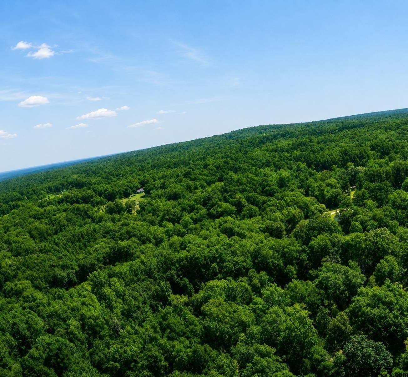 35 acres in Wood County - photo 15