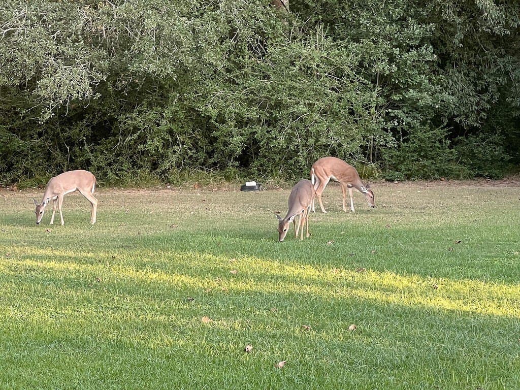 18.6 acres in Washington County