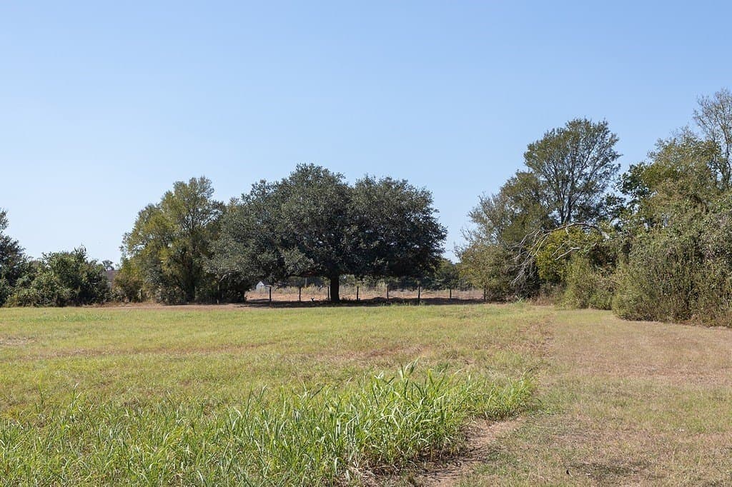 18.6 acres in Washington County gallery image 2