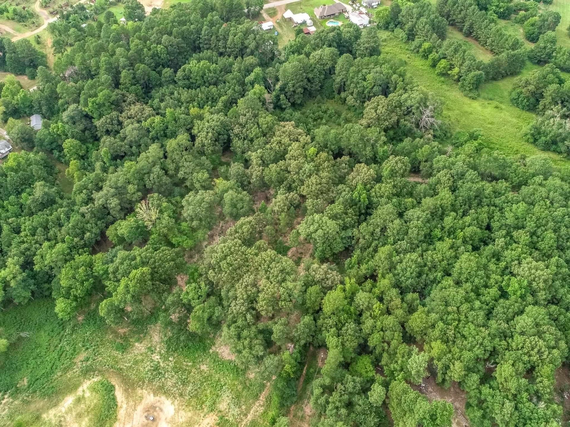 33.42 acres in Upshur County - photo 9