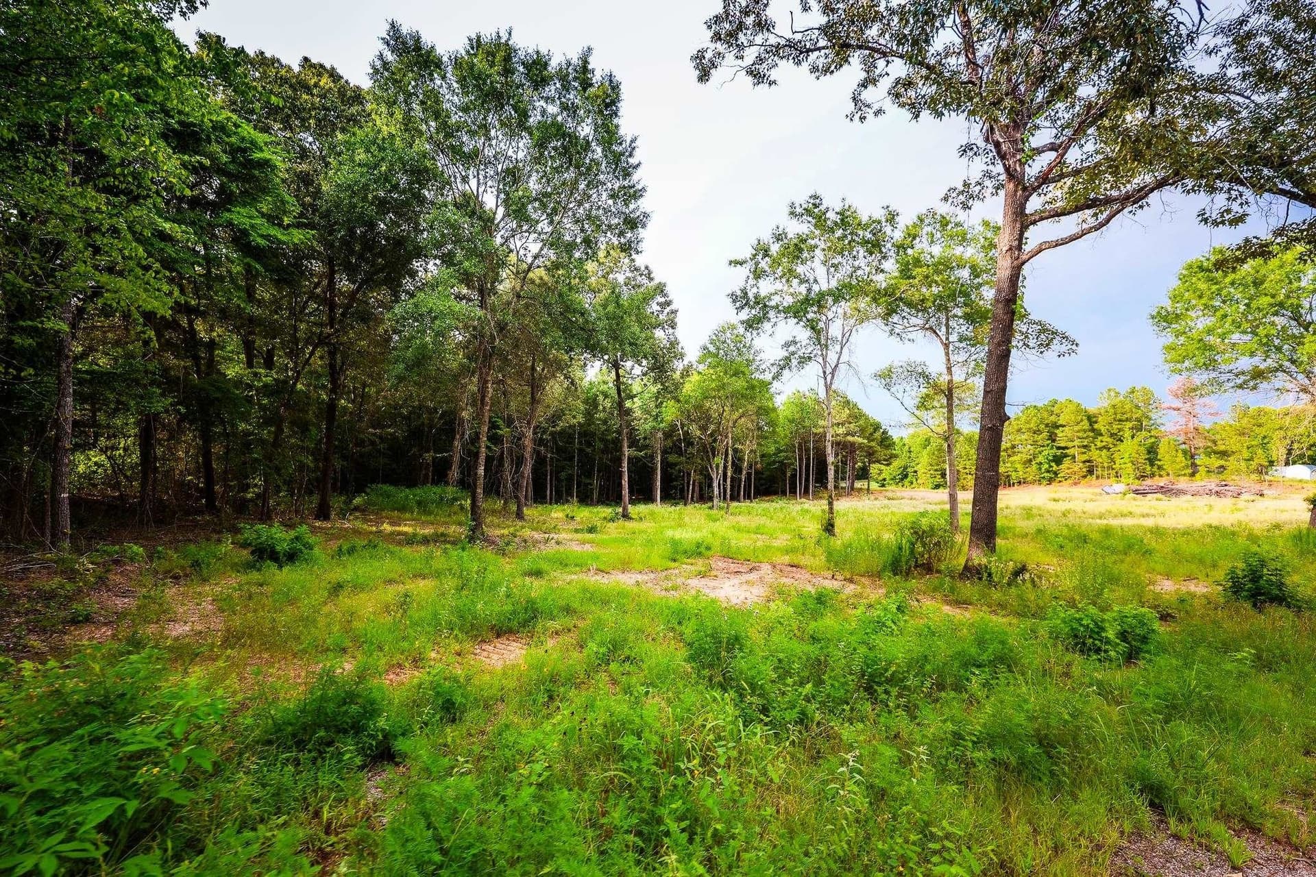 33.42 acres in Upshur County - photo 24