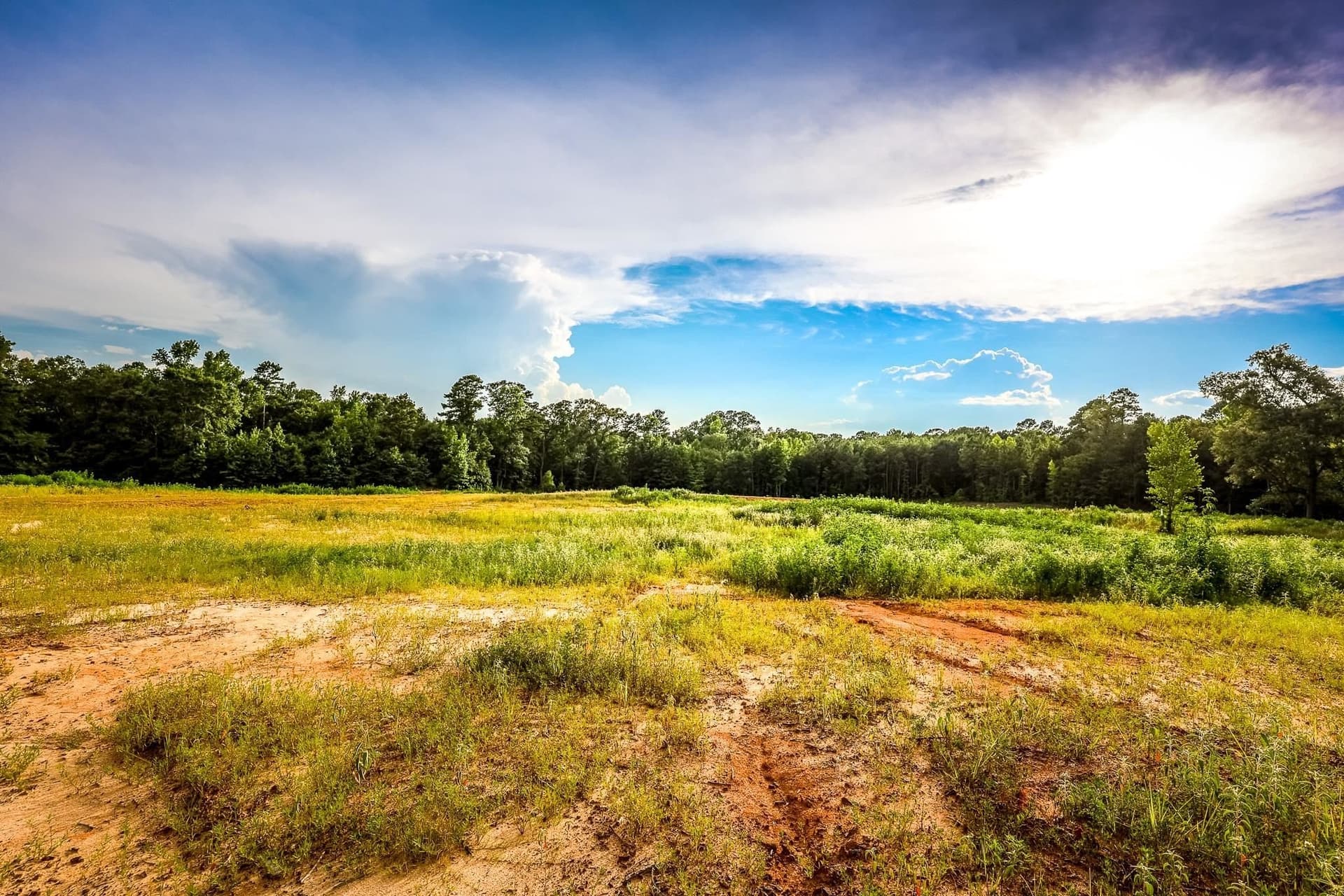 33.42 acres in Upshur County