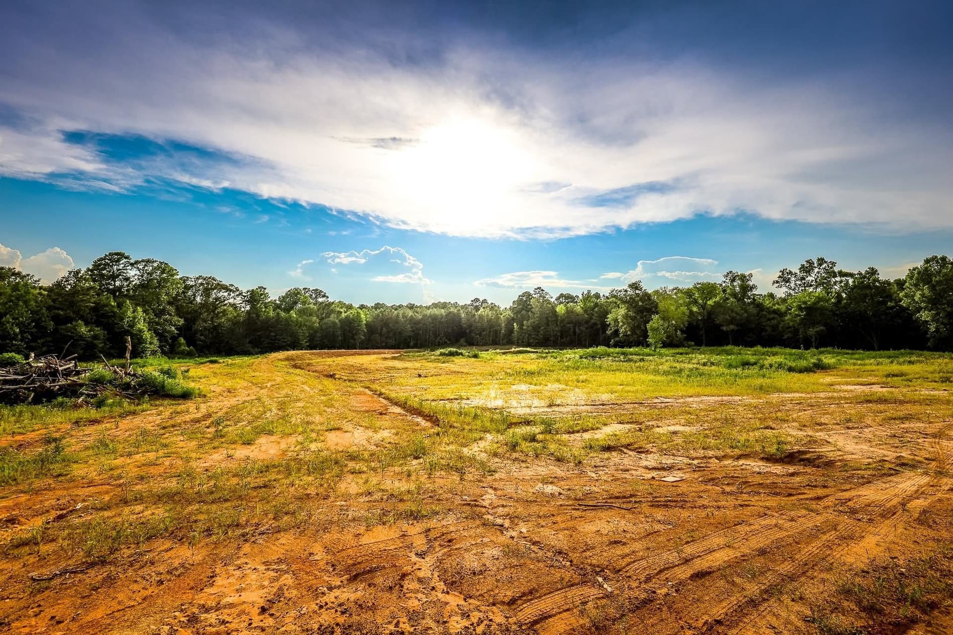 33.42 acres in Upshur County - photo 19