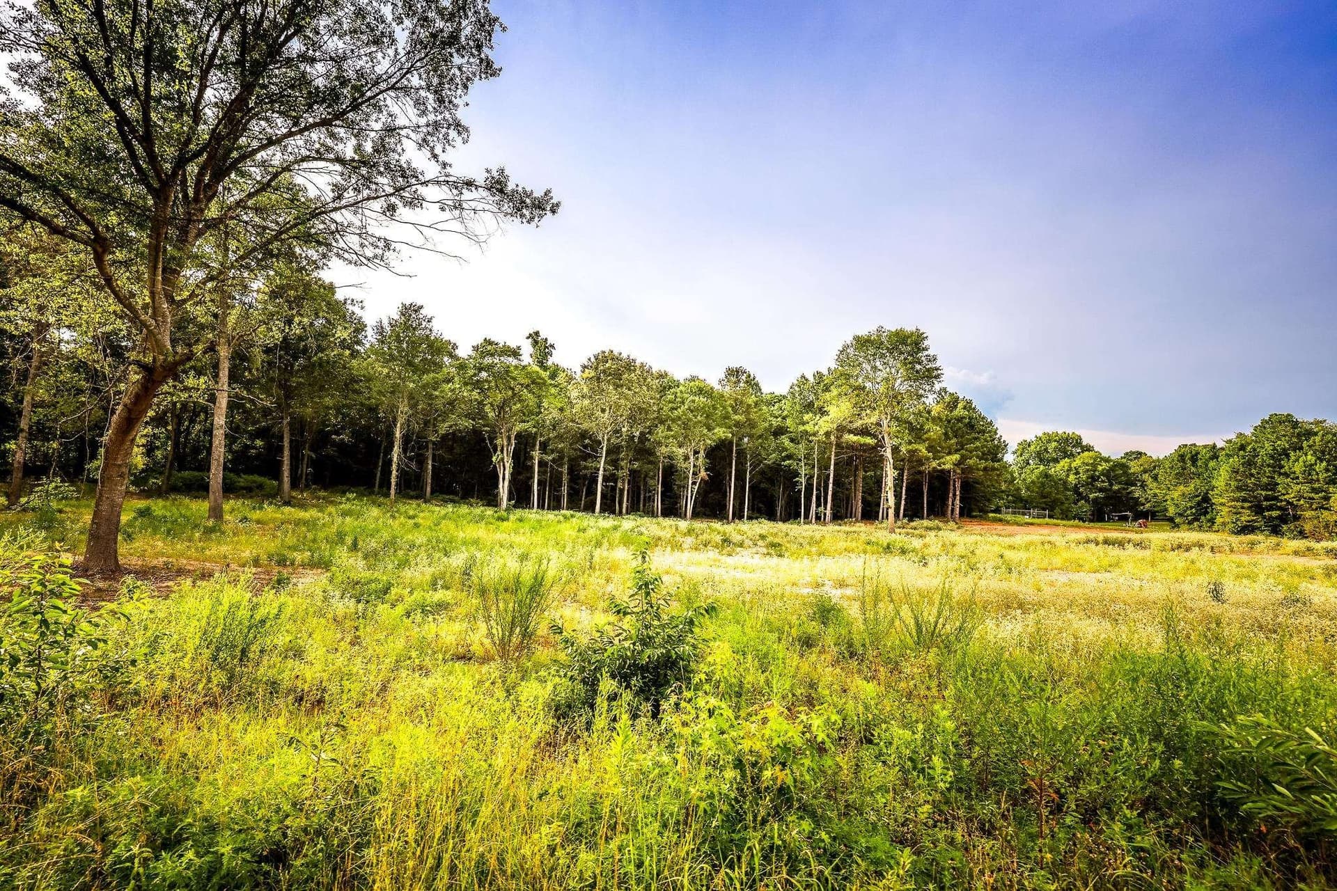 33.42 acres in Upshur County - photo 26