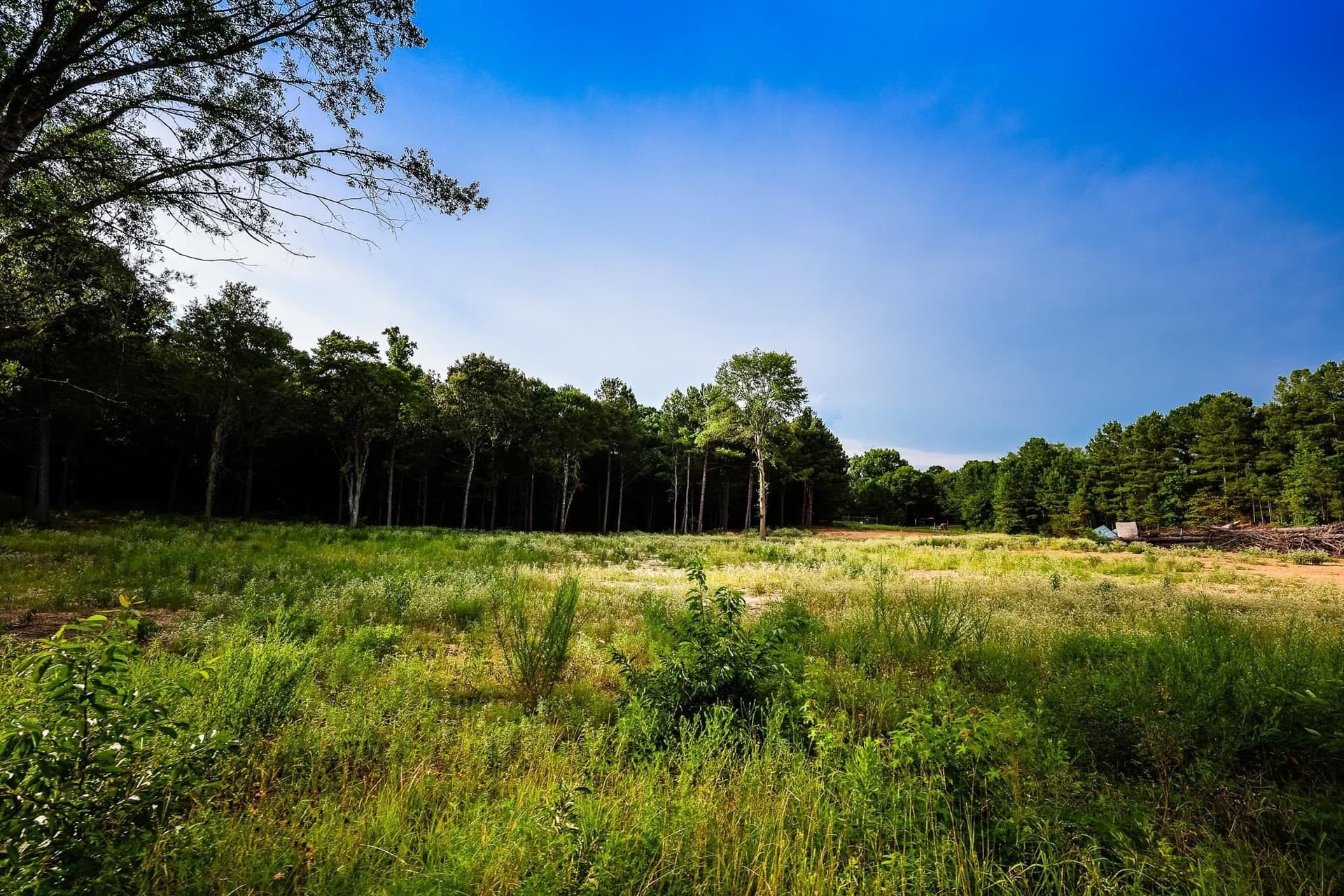 33.42 acres in Upshur County - photo 25