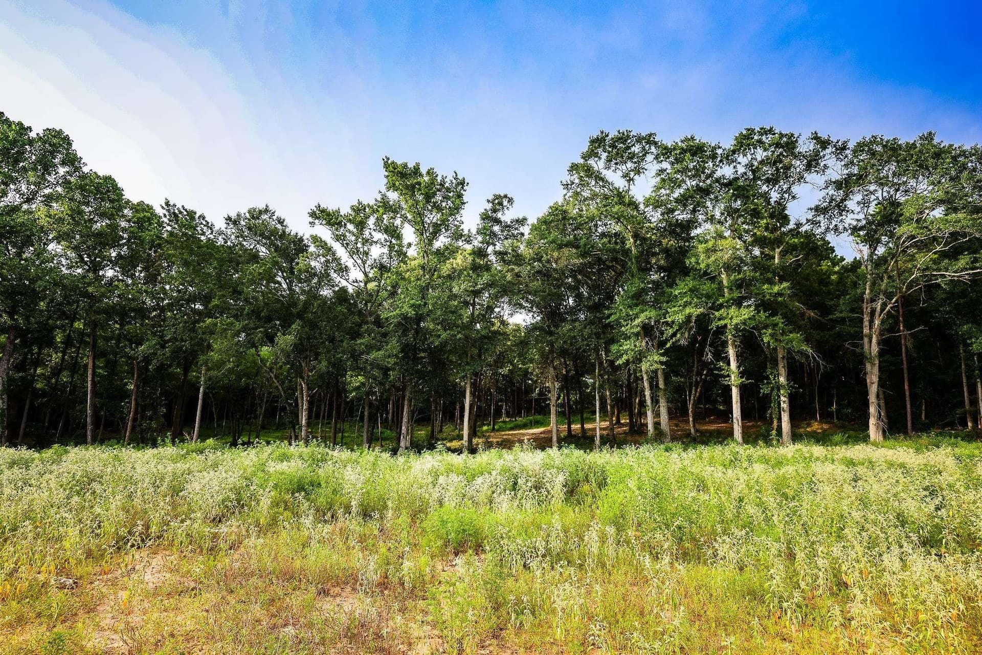 33.42 acres in Upshur County - photo 21