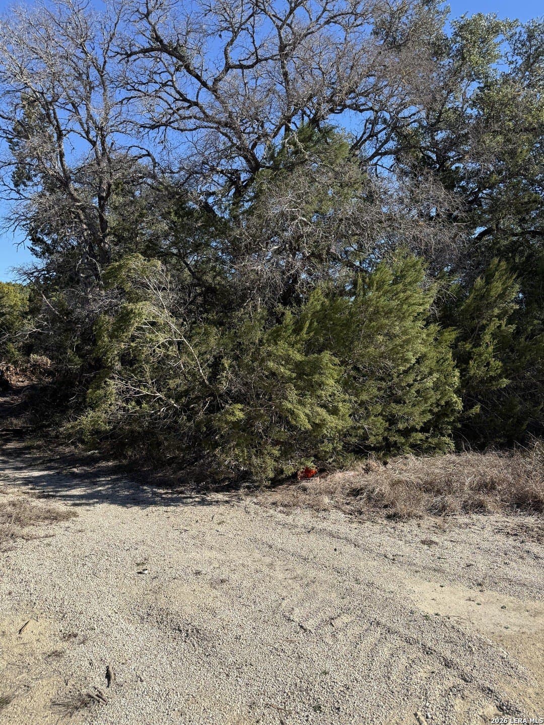 0.17 acres in Comal County - photo 3