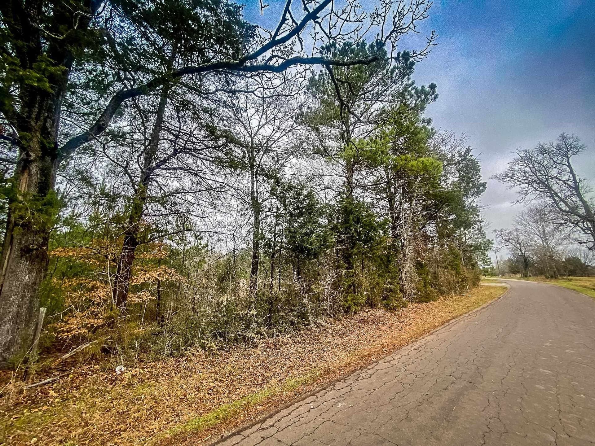 8 acres in Harrison County - photo 7
