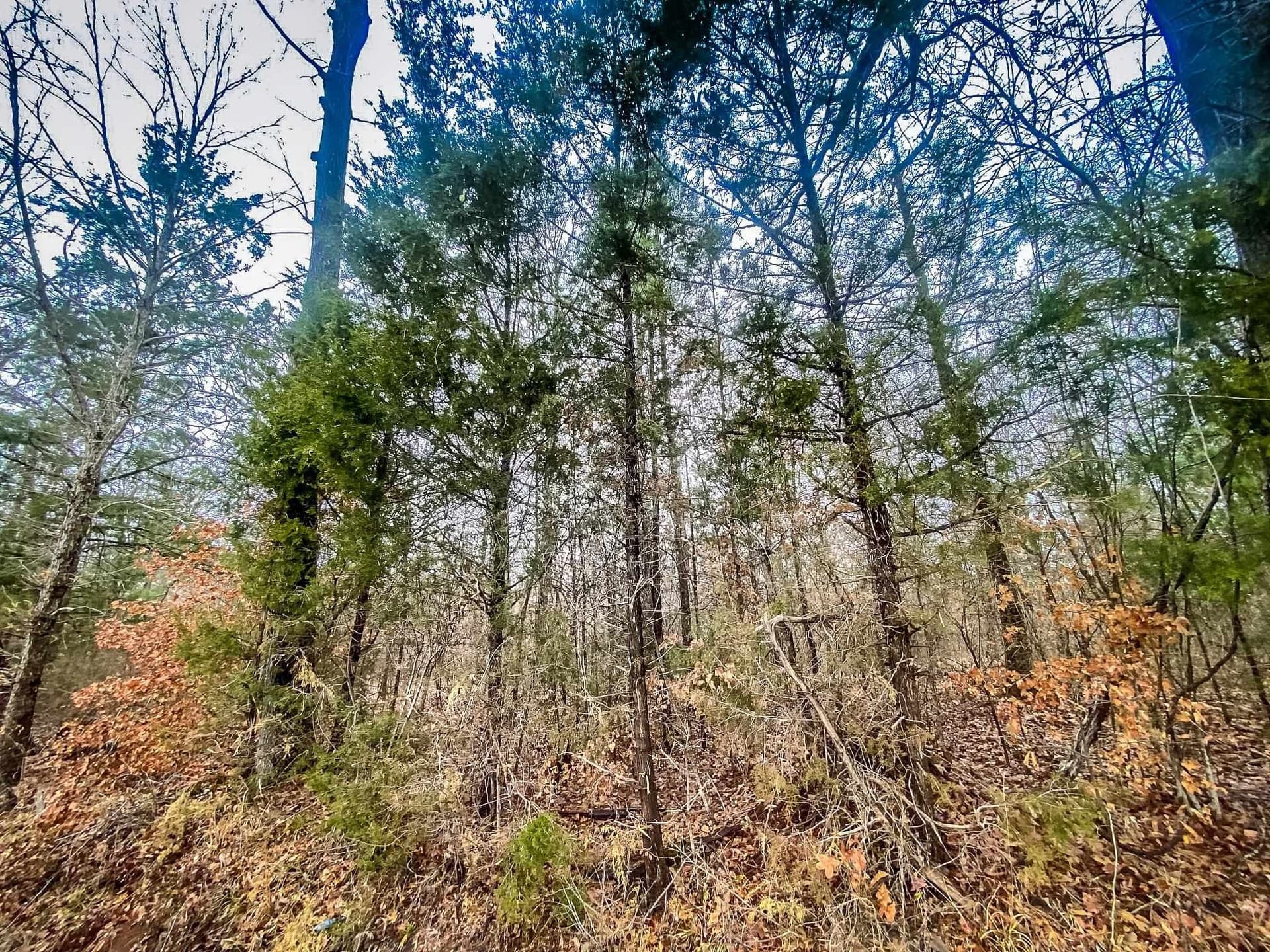 8 acres in Harrison County - photo 13