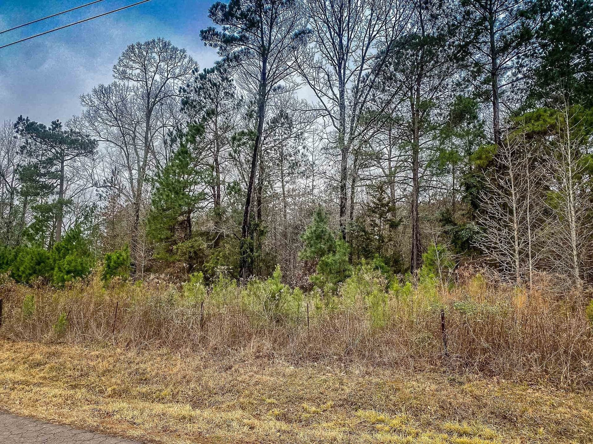 8 acres in Harrison County gallery image 3