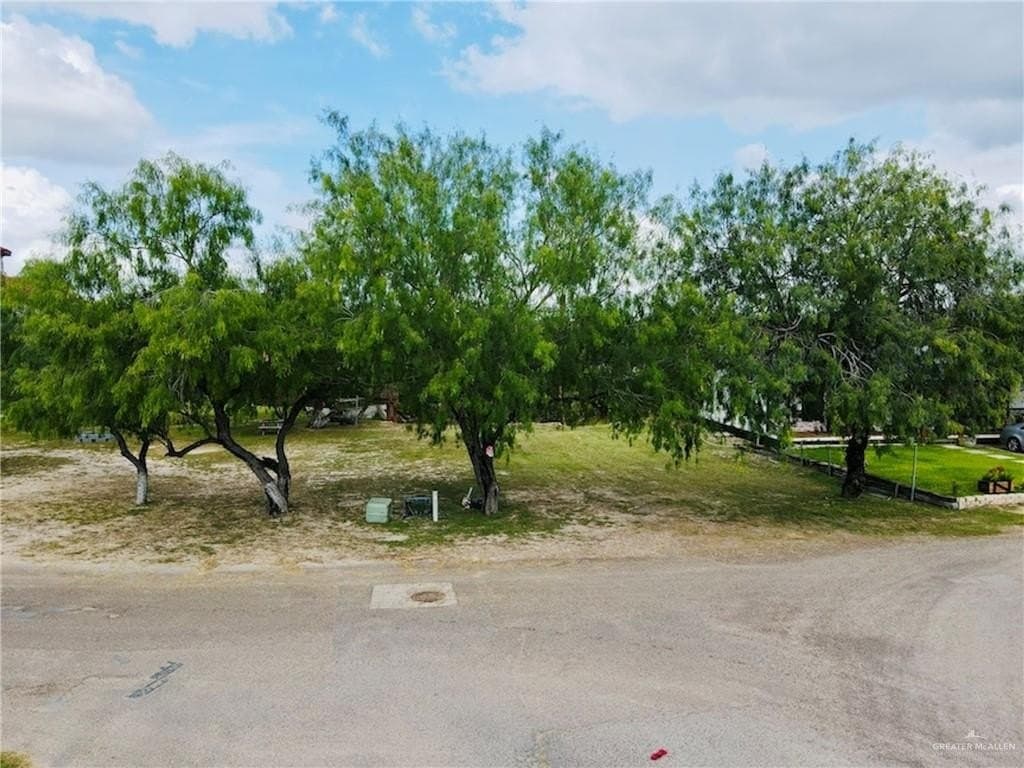 0.12 acres in Hidalgo County - photo 12