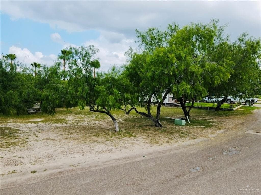 0.12 acres in Hidalgo County - photo 13