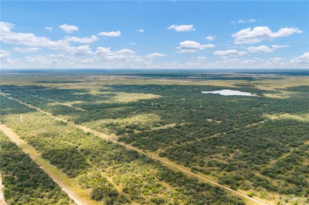 183 acres in Hidalgo County - photo 23