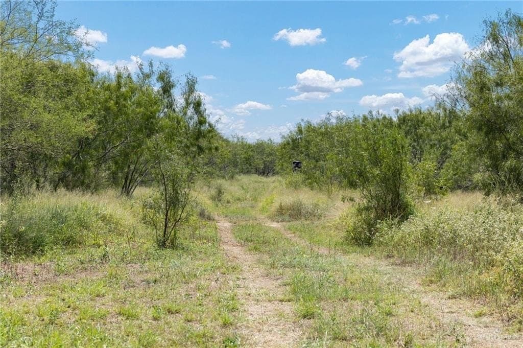 183 acres in Hidalgo County - photo 12