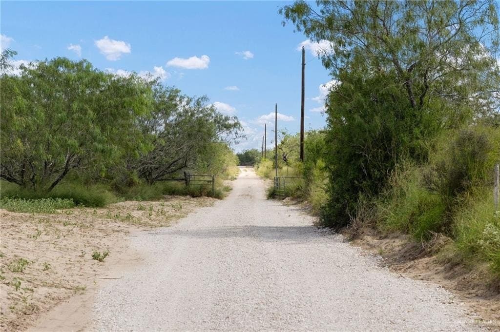 183 acres in Hidalgo County gallery image 2