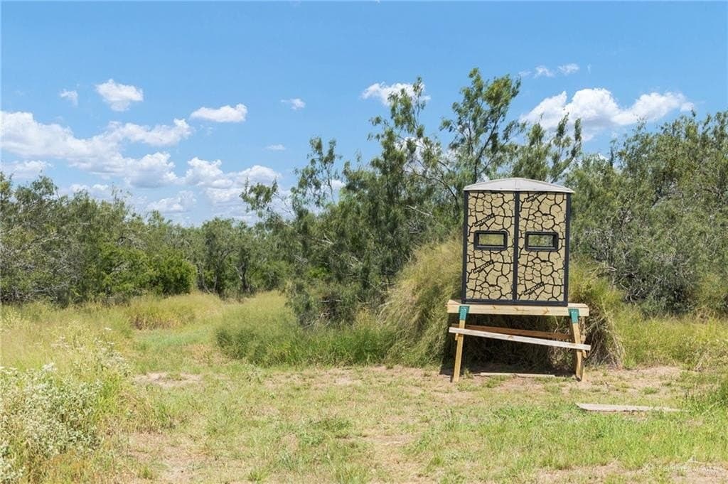 183 acres in Hidalgo County - photo 11